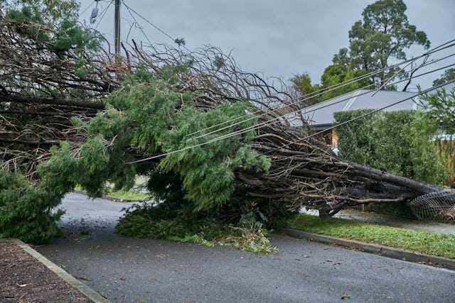 Storm damage Shutterstock low res