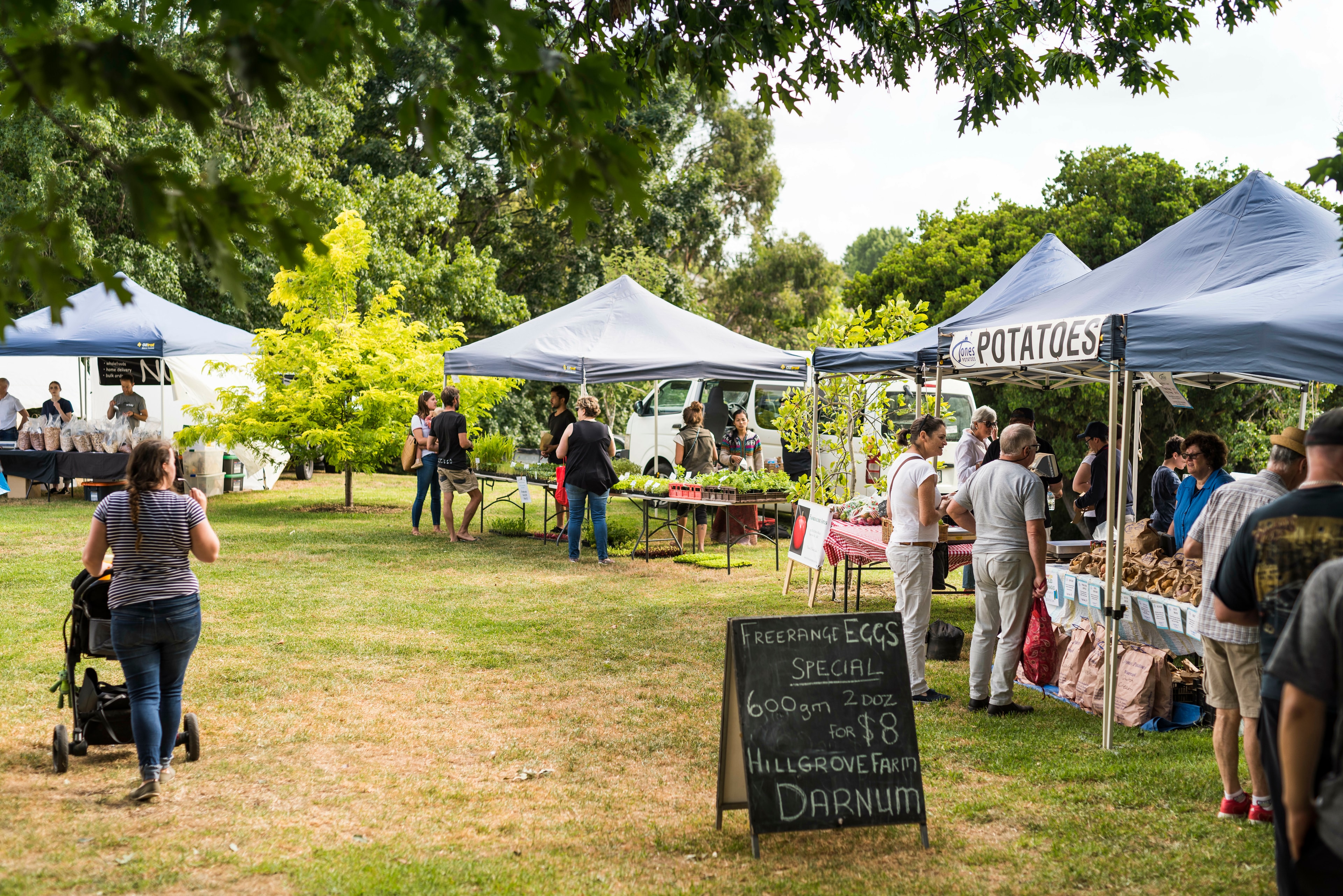 Regional town farmers market