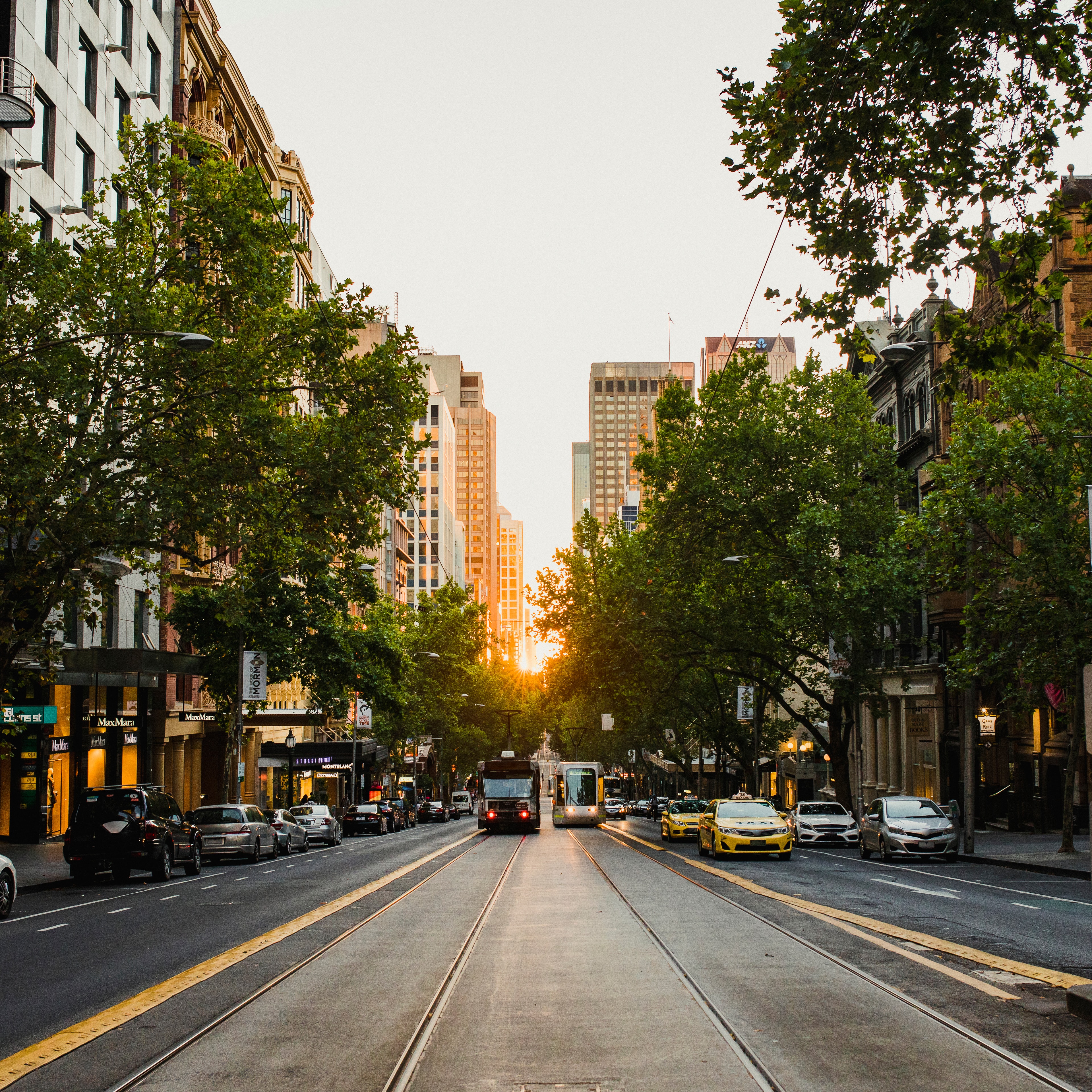 City street at sunset with trams, cars and trees